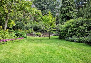 Optimiser l'expérience du jardin à Luby-Betmont